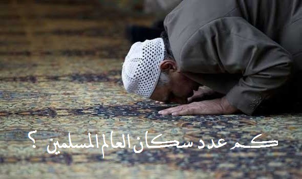كم عدد سكان العالم المسلمين بالأرقام هيلاهوب