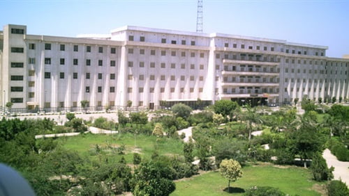 جامعة بنى سويف 