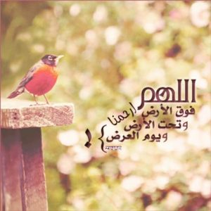 صور دينية