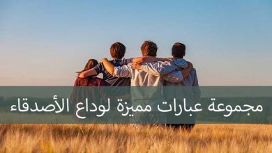 عبارات توديع صديق