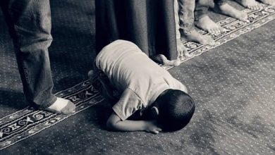 عدد الأنبياء