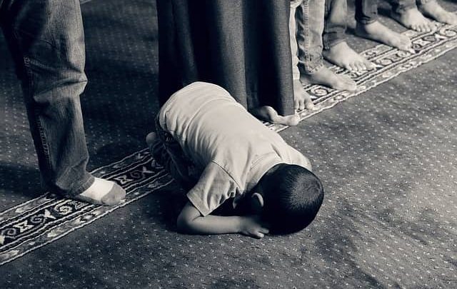 عدد الأنبياء