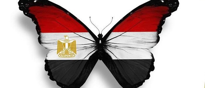 علم مصر 3