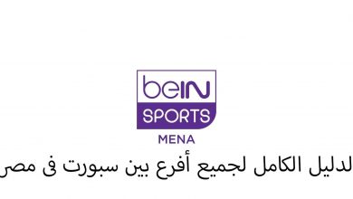 فروع بين سبورت