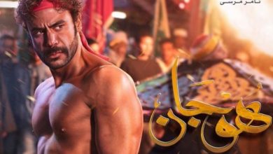 محمد إمام هوجان