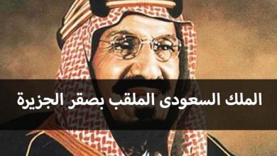 من هو الذى لقب بصقر الجزيرة