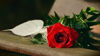 نموذج كتابة رسالة تهنئة
